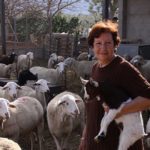 Foto de una mujer rodeada de ovejas