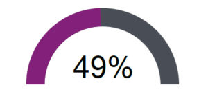 Gráfico que representa un 49% sobre el total