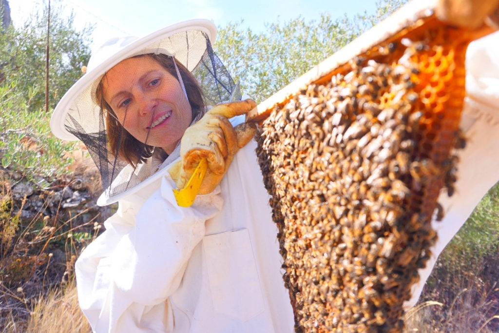 Marleen Schafer, apicultora, sosteniendo un panal con abejas y miel
