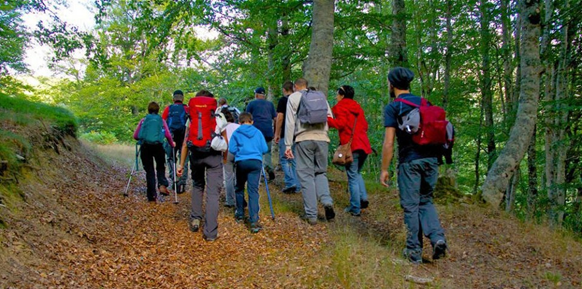 Grupo de excursionistas caminando por un bosque