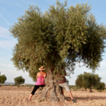 Foto de mujer en un árbol