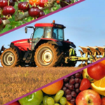 Montaje de imagen de un tractor y fruta