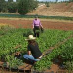 Foto de 2 mujeres en una huerta