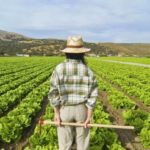 Foto mujer en una huerta