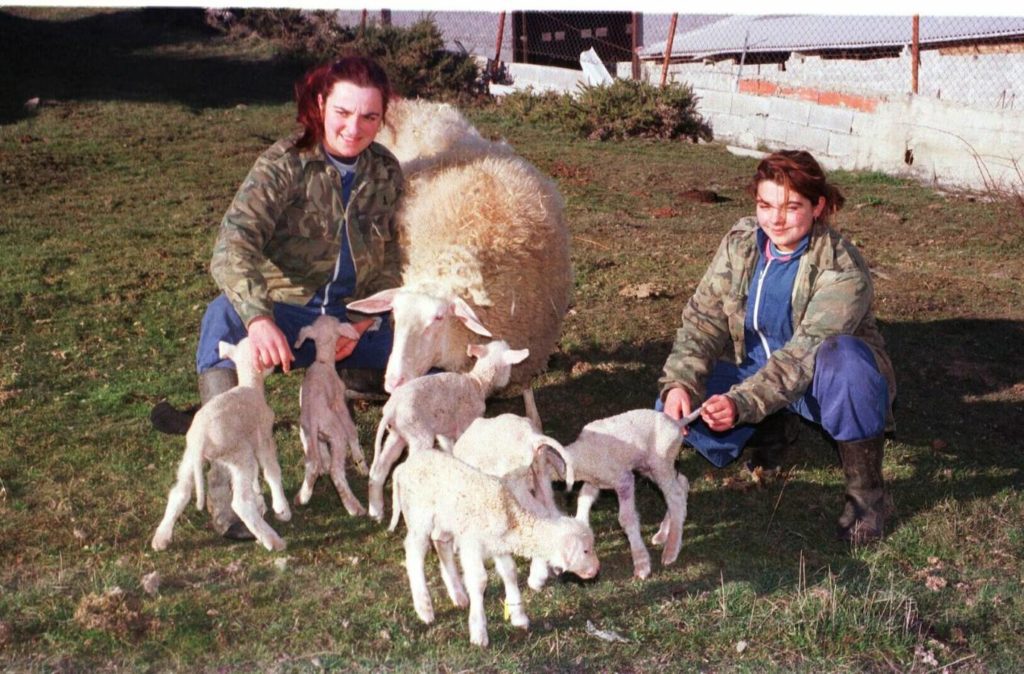 Foto de Mujeres con ovejas en una granja de Cantabria