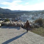 Foto de una pastora con sus ovejas en un pueblo