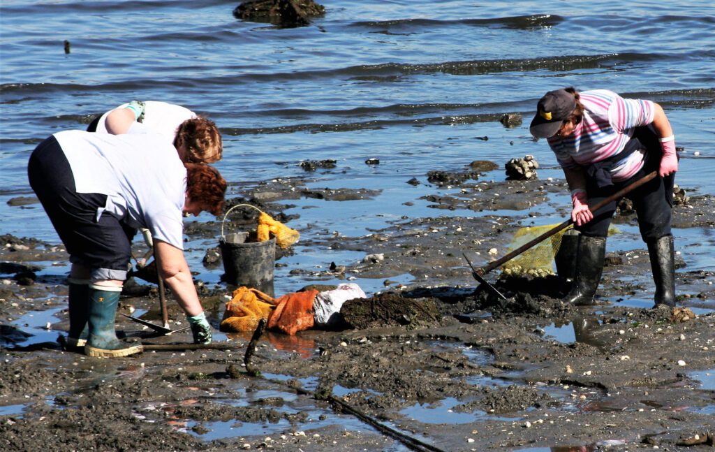 Foto de tres mujeres mariscando en una playa