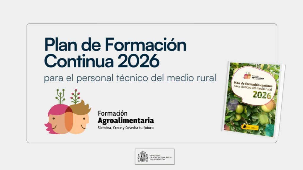 Plan de formacion 2026